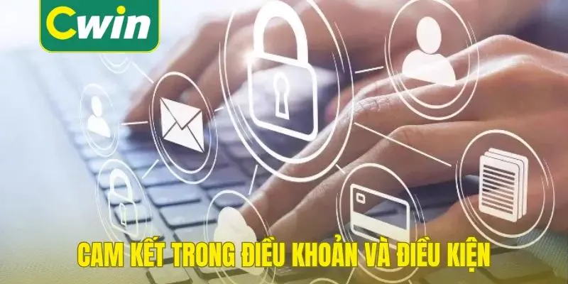 Cam kết của Cwin trong điều khoản và điều kiện