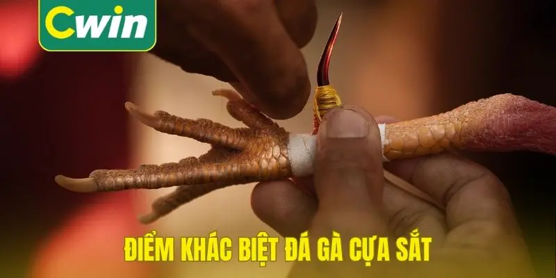 Điểm khác biệt giữa đá gà cựa sắt và các loại khác