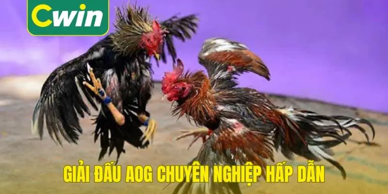 Giải đấu AOG chuyên nghiệp hấp dẫn