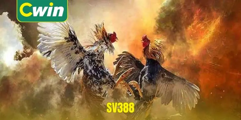 SV388