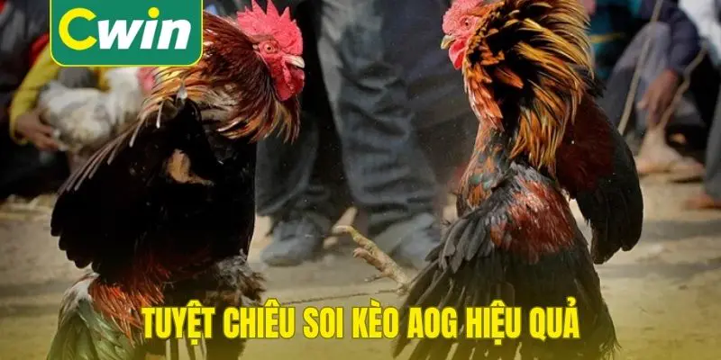 Tuyệt chiêu soi kèo AOG hiệu quả từ chuyên gia